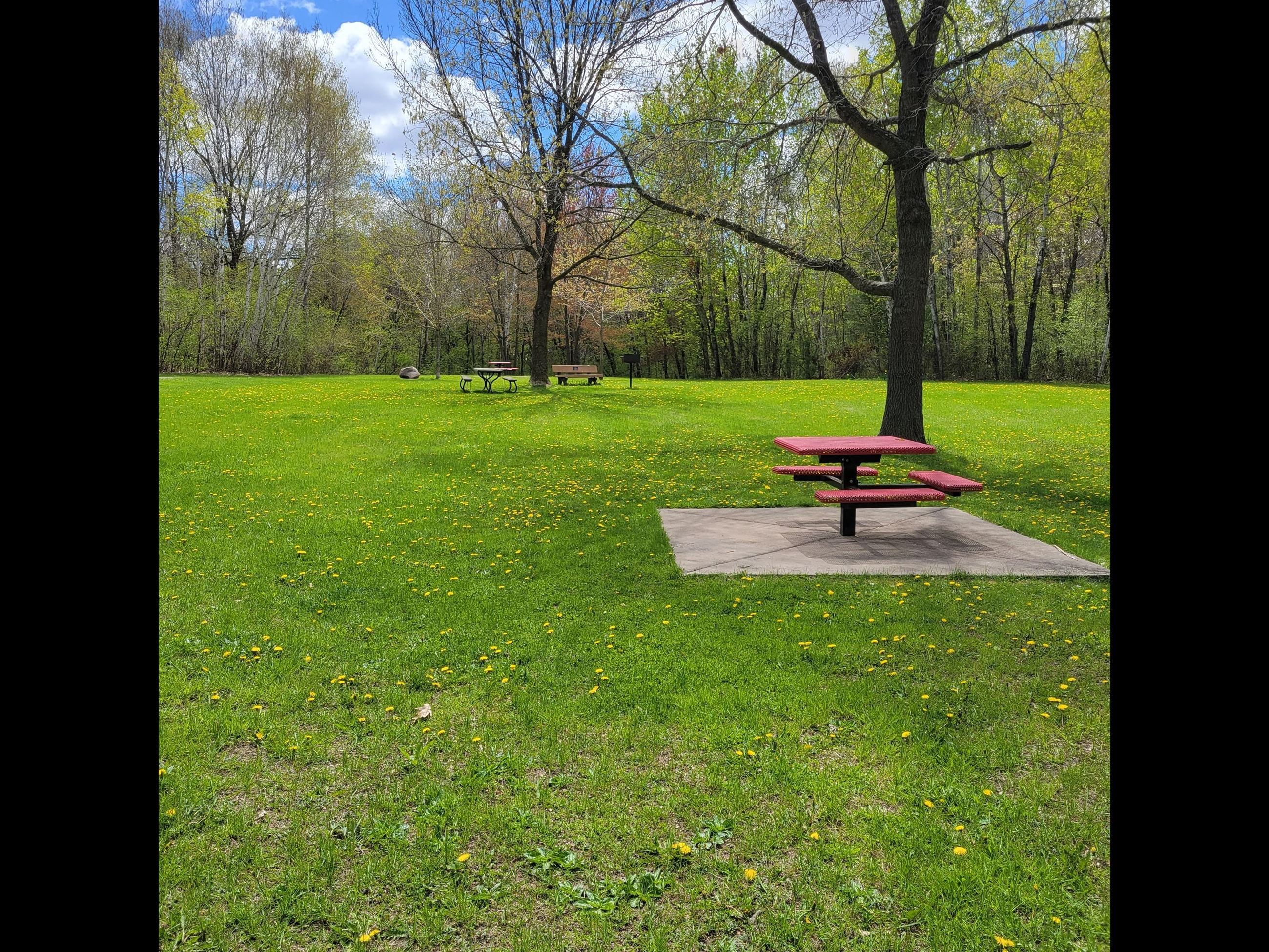 York Park Picnic Area