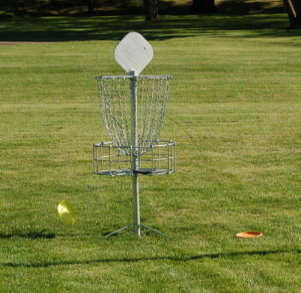 Disc Golf Basket with Discs