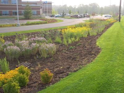A garden near the grass and a medical center