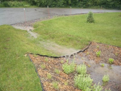 A freshly made rain garden with a tranch from the street