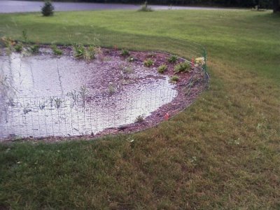 A below ground rain garden