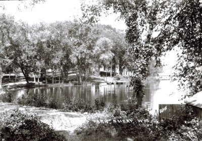 Photo of a lake with over grown trees